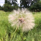 Review photo of Buck Creek State Park Campground by Shannon G., July 7, 2019