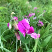 Review photo of Buck Creek State Park Campground by Shannon G., July 7, 2019