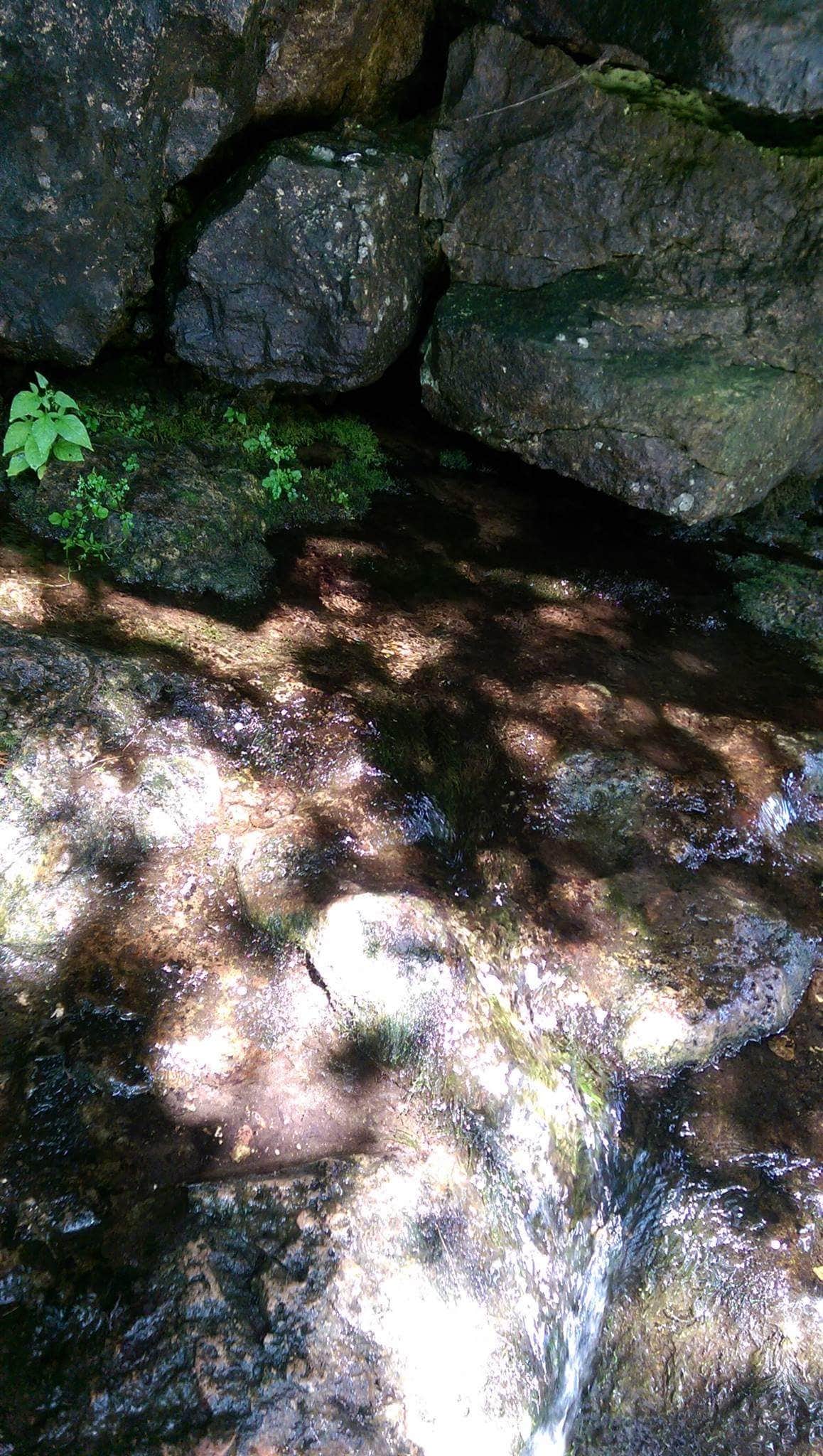 Camper submitted image from Rice Creek Chain of Lakes Regional Park - 4