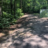 Review photo of Norway Beach - Chippewa Campground Loop by Allison  K., July 7, 2019