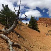 Review photo of Red Canyon Campground by Amy C., June 3, 2016