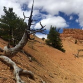 Review photo of Red Canyon Campground by Amy C., June 3, 2016