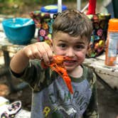 Review photo of Norway Beach - Chippewa Campground Loop by Allison  K., July 7, 2019