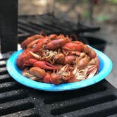 Review photo of Norway Beach - Chippewa Campground Loop by Allison  K., July 7, 2019