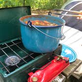 Review photo of Norway Beach - Chippewa Campground Loop by Allison  K., July 7, 2019