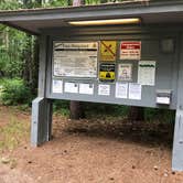 Review photo of Norway Beach - Chippewa Campground Loop by Allison  K., July 7, 2019