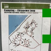 Review photo of Chippewa Loop by Allison  K., July 7, 2019
