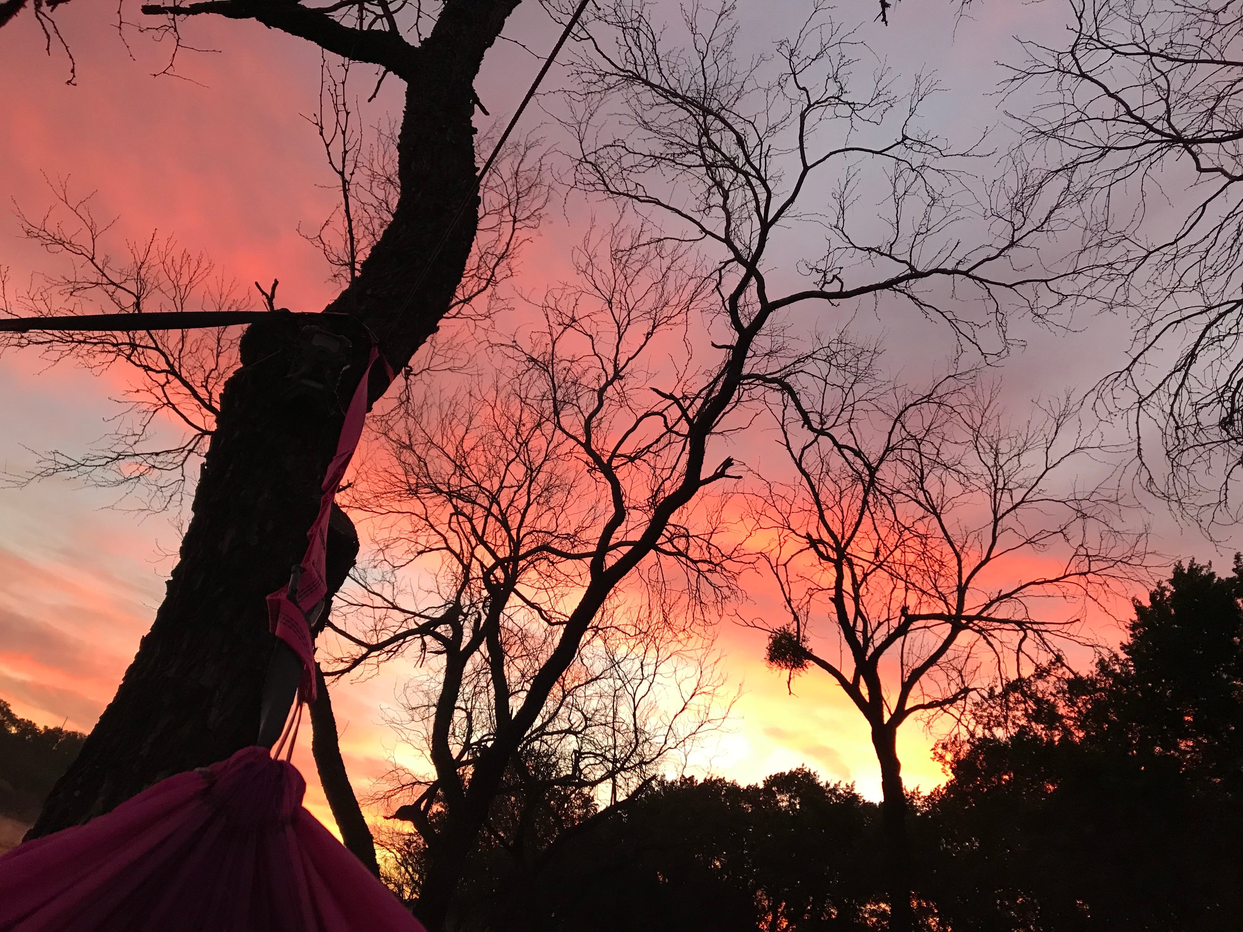 Camper submitted image from Grelle - Lake Travis - 2