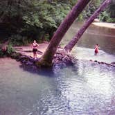 Review photo of North Fork by Glen T., July 7, 2019