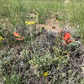 Review photo of East Portal Campground at Estes Park by Joel R., July 7, 2019