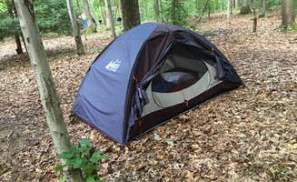 Linda  L.'s photo at Chestnut Creek Campground near Danese, WV