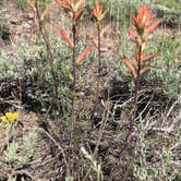 Review photo of East Portal Campground at Estes Park by Joel R., July 7, 2019
