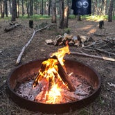 Review photo of CCC Bridge State Forest Campground by Kate K., July 7, 2019