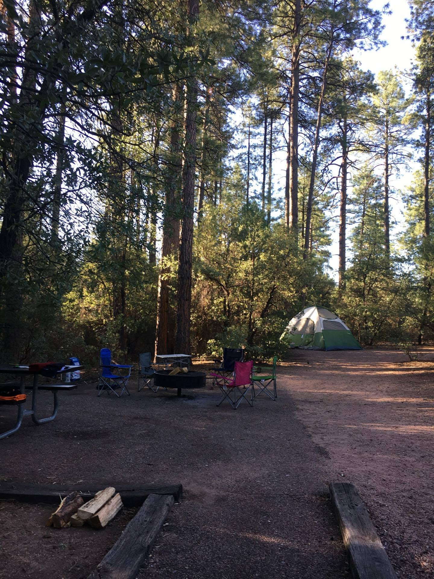 Camper submitted image from Houston Mesa Campground - 3