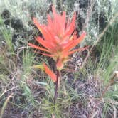 Review photo of Estes Park Campground at Mary's Lake by Joel R., July 7, 2019