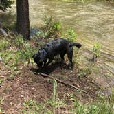Review photo of River Hill by Courtney L., July 7, 2019