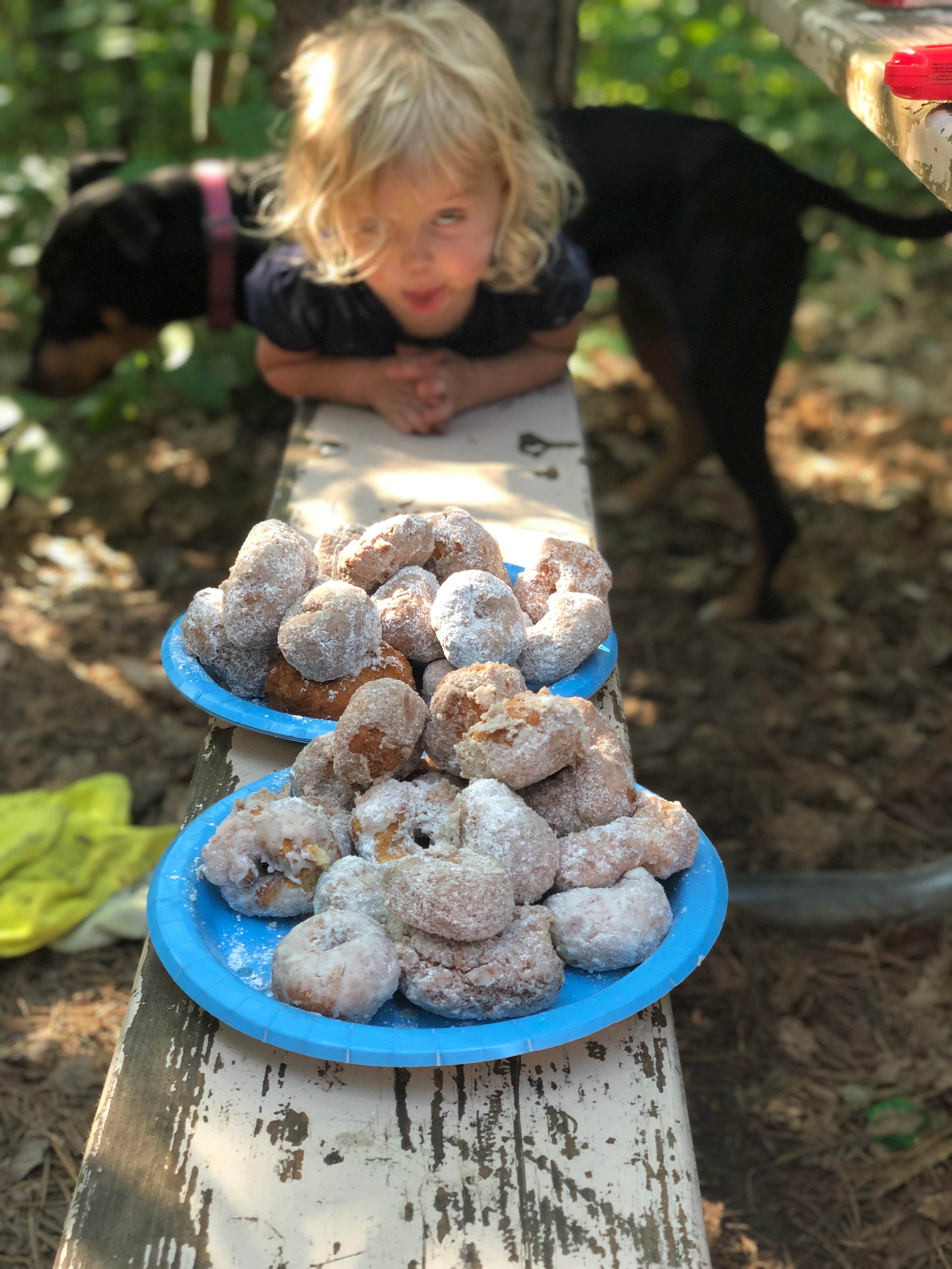 Allison  K.'s photo of camping with pets at Chippewa Loop near Deer River, MN