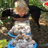 Review photo of Norway Beach - Chippewa Campground Loop by Allison  K., July 7, 2019