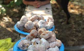 Allison K.'s photo of camping with pets at Chippewa Loop near Bigfork, MN
