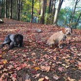 Review photo of Blind Lake Rustic Campground — Pinckney Recreation Area by Kate K., July 8, 2019