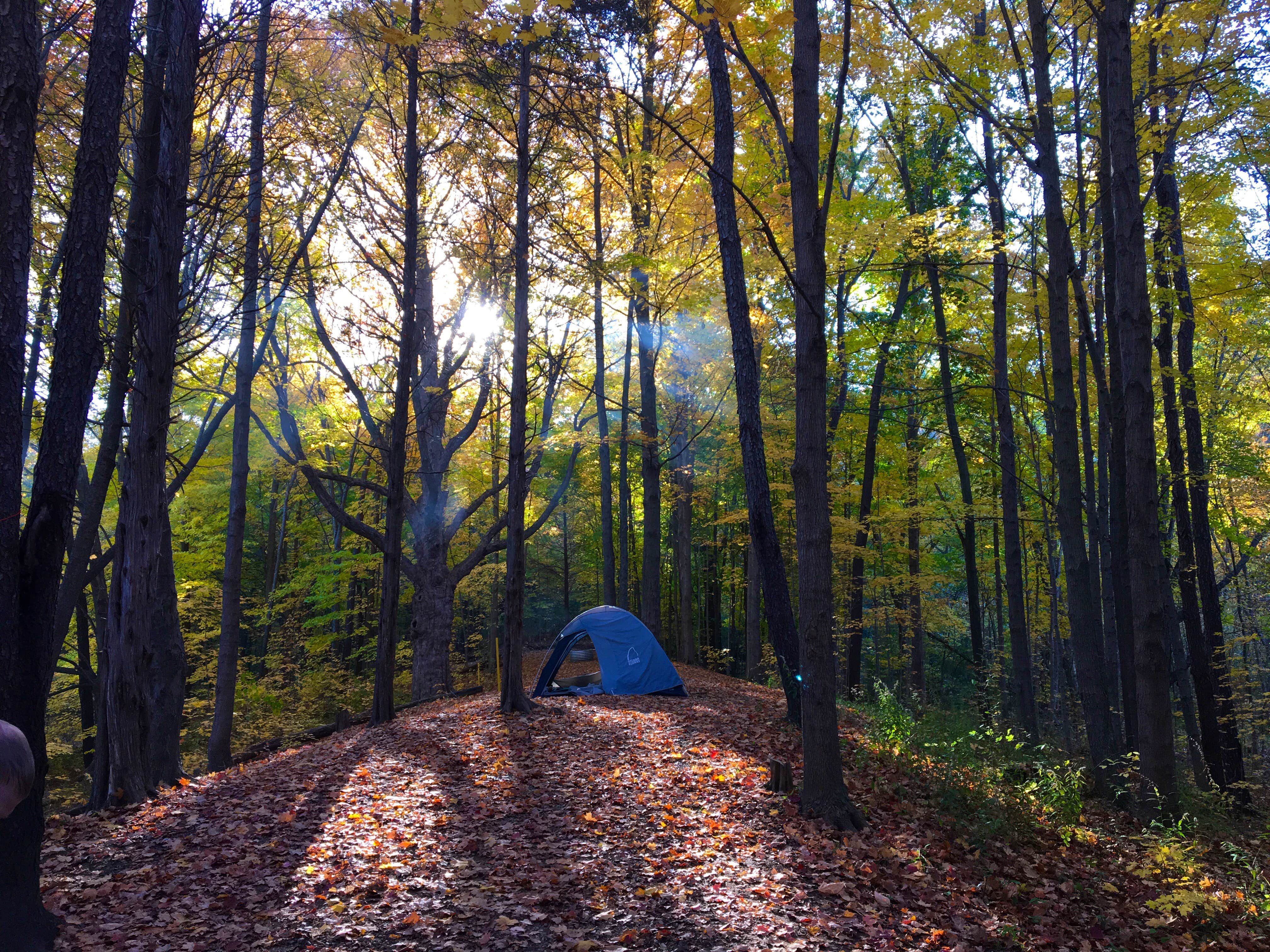 Kate K.'s photo at Blind Lake Rustic Campground — Pinckney Recreation Area near Howell, MI