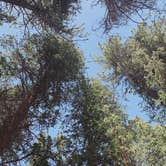 Review photo of Lost Man Campground by Katie H., July 8, 2019