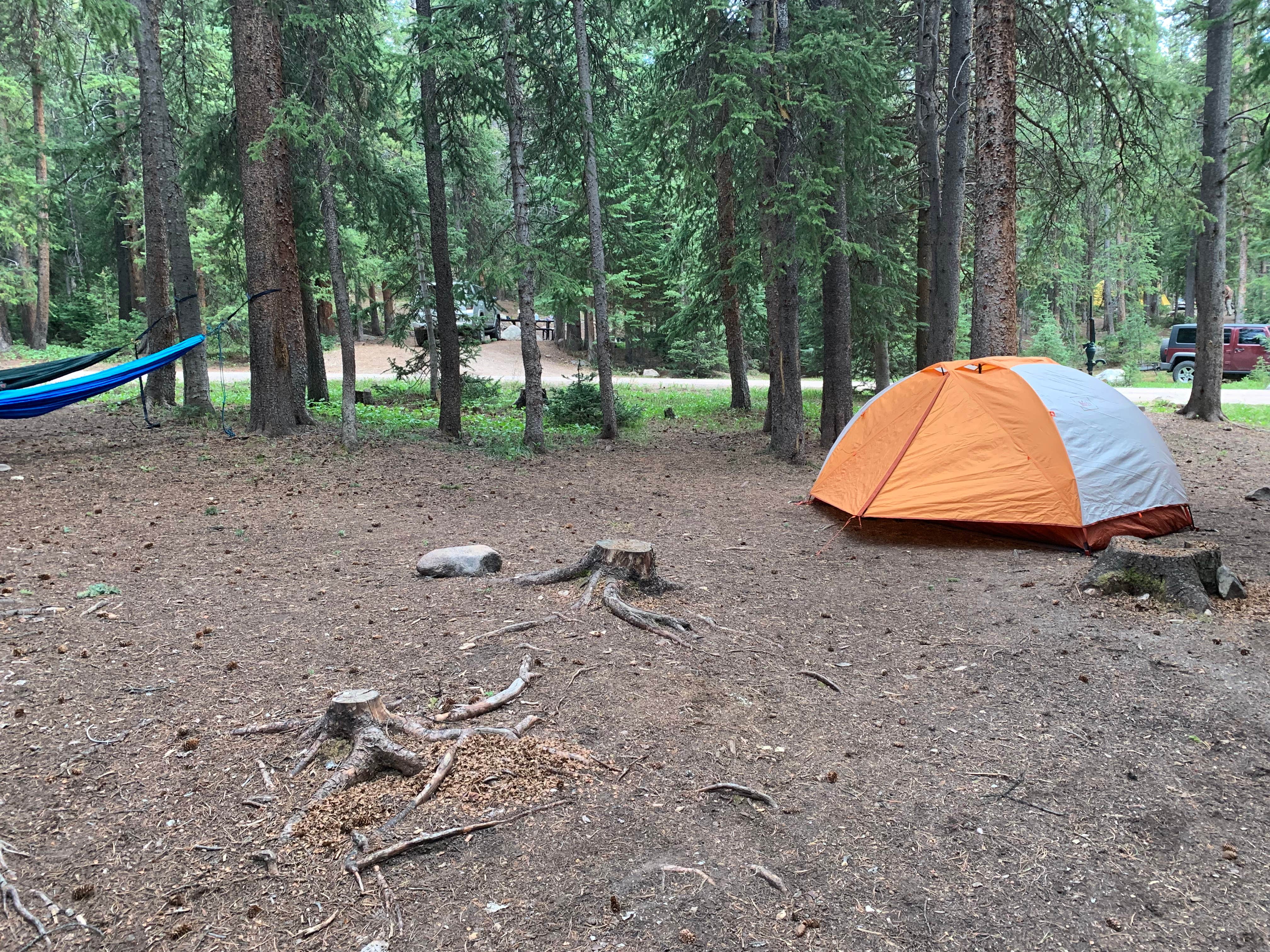 Camper submitted image from Lost Man Campground - 5