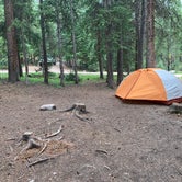 Review photo of Lost Man Campground by Katie H., July 8, 2019