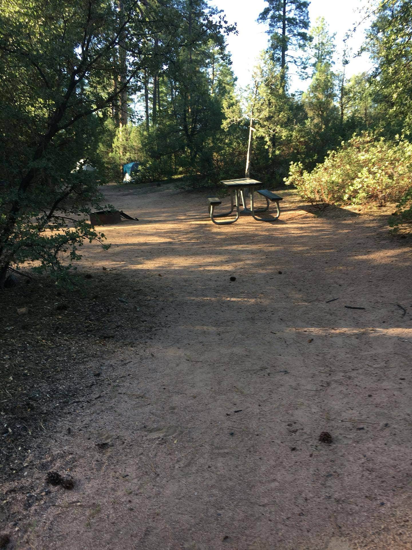 Camper submitted image from Houston Mesa Campground - 4