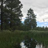 Review photo of Dry Wash Reservoir #2 by Jacob S., July 8, 2019