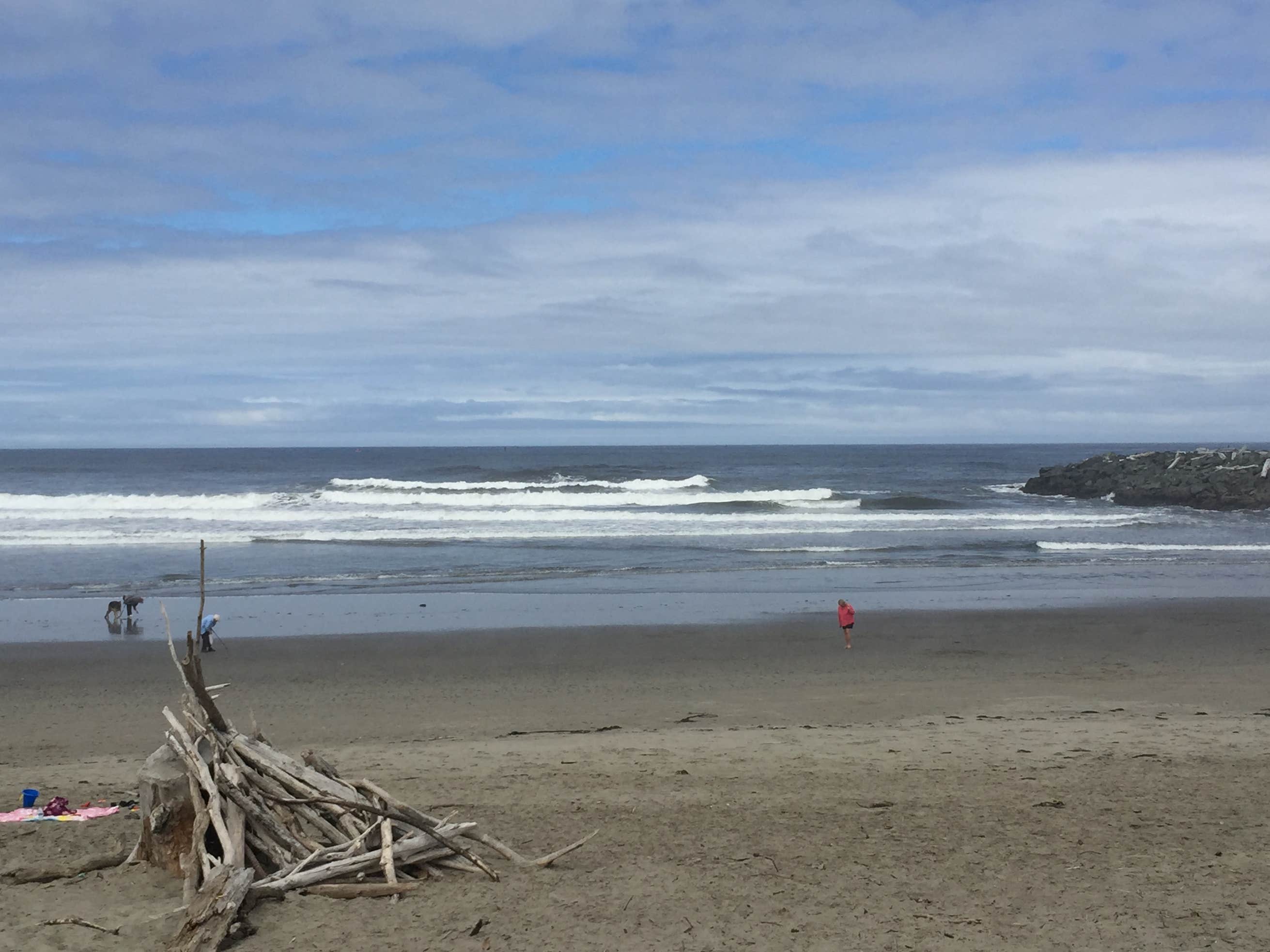 Grayland Beach The Dyrt