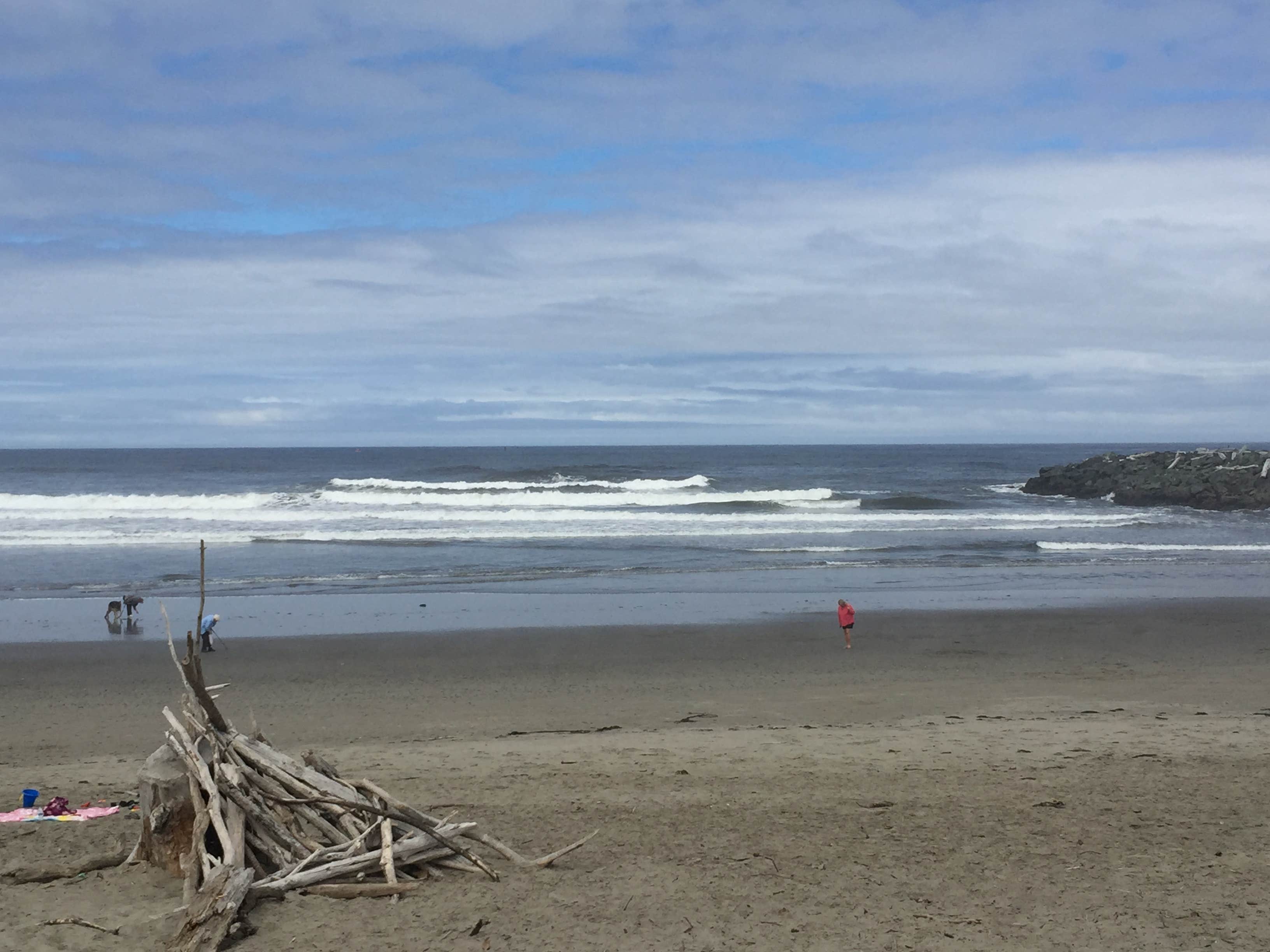 Camper submitted image from Grayland Beach State Park Campground - 3