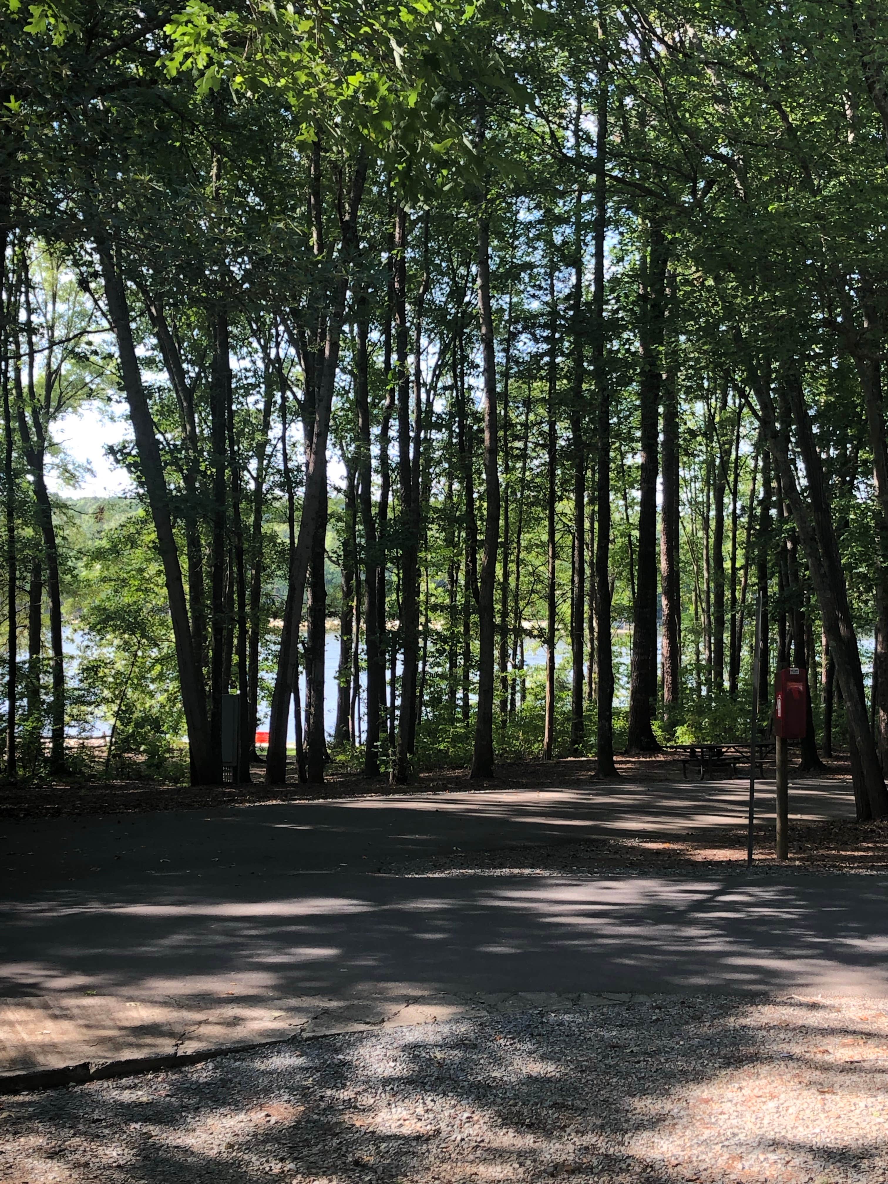 Camper submitted image from Cane Creek Park - 4