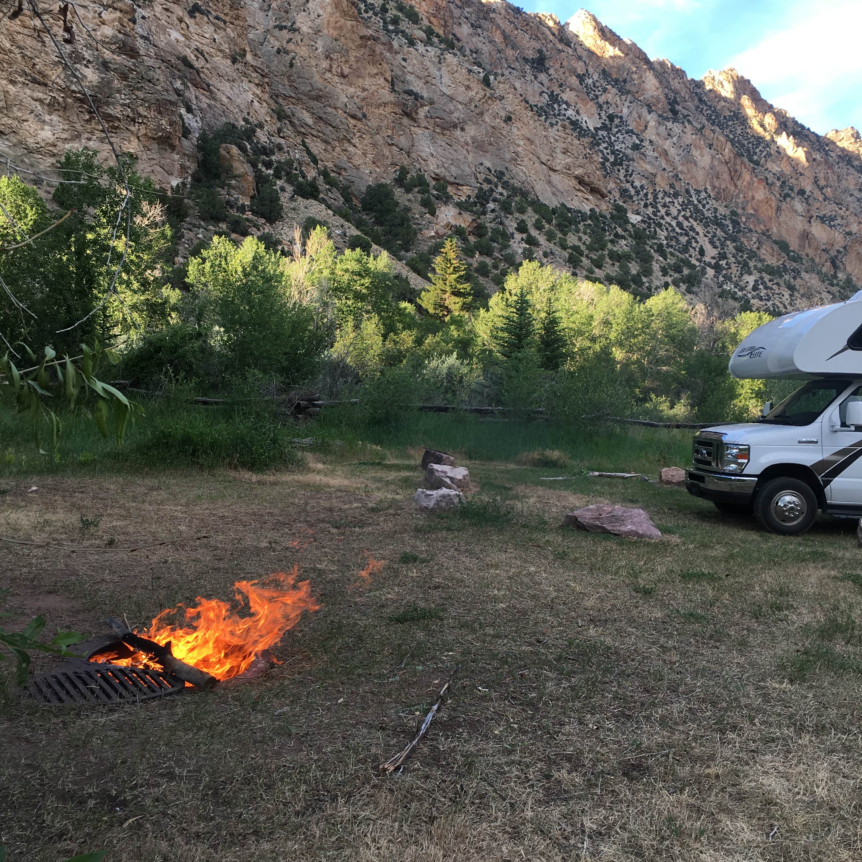 Camper submitted image from Willows Campground - 4