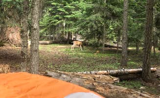 Tracy C.'s photo at Sunset Campground near Dorris, CA