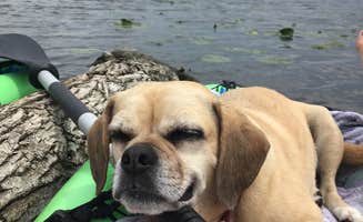 Erin S.'s photo of camping with pets at Honeysuckle Hollow — Chain O' Lakes State Park near Lake Geneva, WI