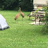 Review photo of Honeysuckle Hollow — Chain O' Lakes State Park by Erin S., July 8, 2019