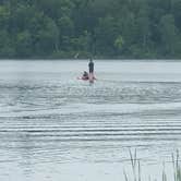 Review photo of Fox Lake Campground of Bemidji by Jill N., July 8, 2019