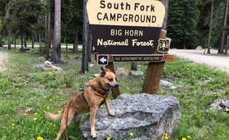 Art S.'s photo of camping with pets at South Fork (wyoming) near Buffalo, WY