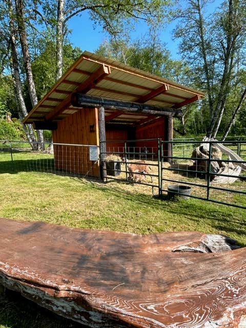 Donkey G.'s photo of a cabin at RV Outdoor Adventures and Cabins near Woodland, WA