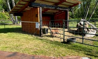 Donkey G.'s photo of a cabin at RV Outdoor Adventures and Cabins near Vernonia, OR