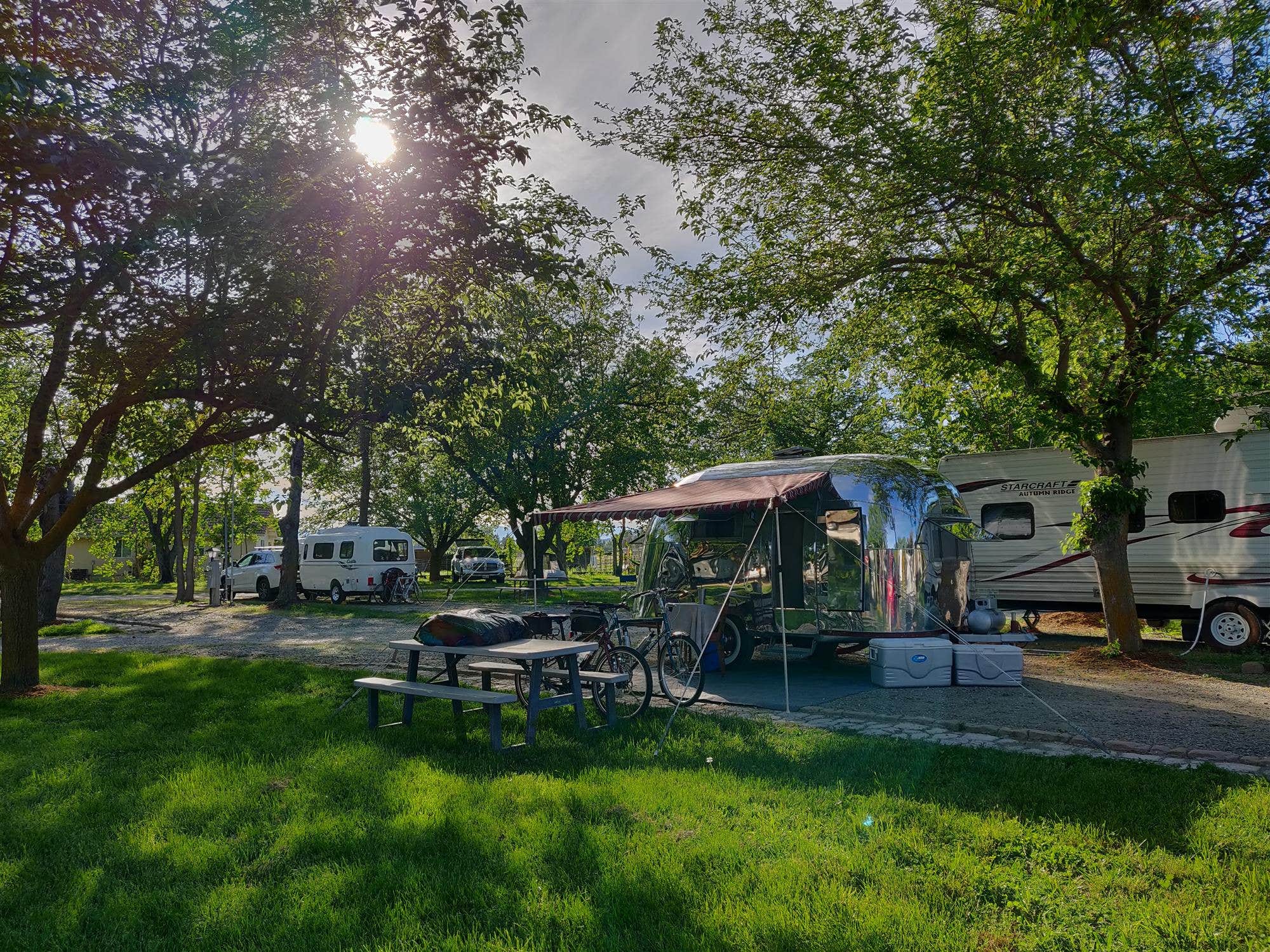 The Dyrt's photo at The Parkway RV Resort & Campground near Black Butte Lake