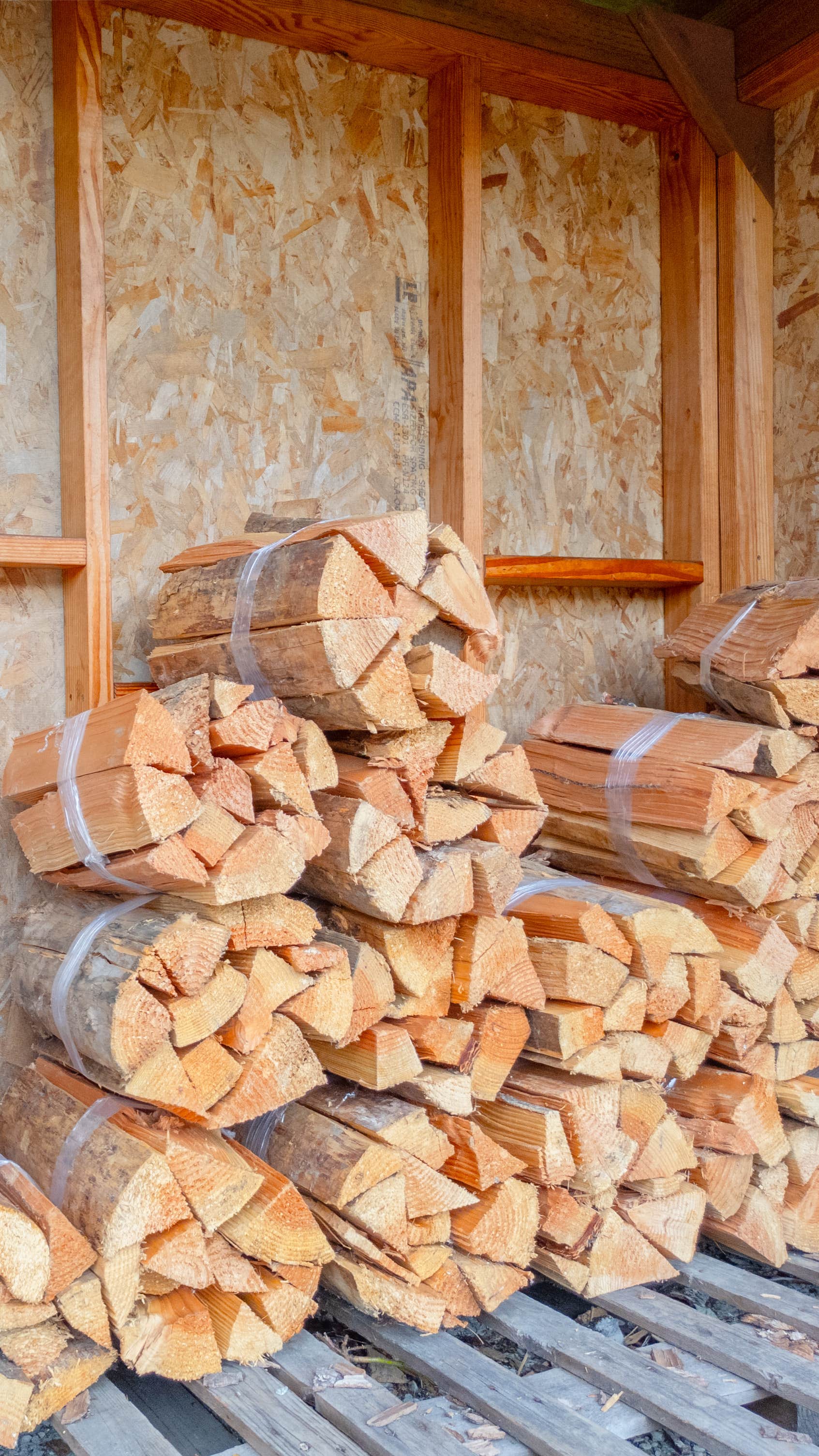 Camper-submitted photo at Toutle River RV Resort near Toledo, WA