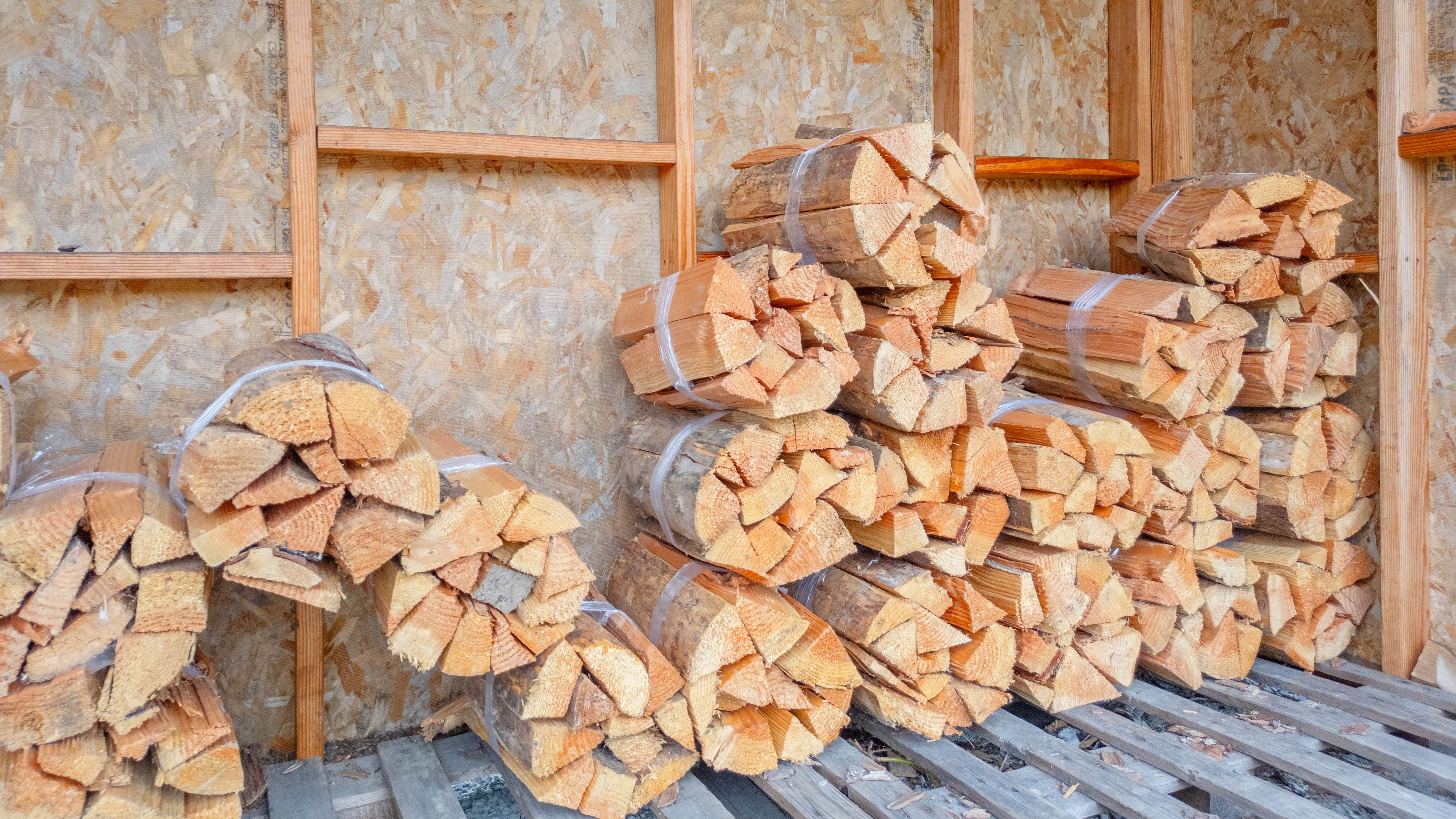 Camper-submitted photo at Toutle River RV Resort near Rainier, OR