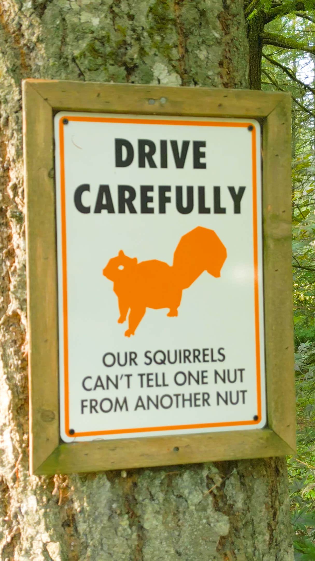 Lupe R.'s photo of camping with pets at Toutle River RV Resort near Longview, WA