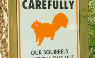 Lupe R.'s photo of camping with pets at Toutle River RV Resort near Onalaska, WA