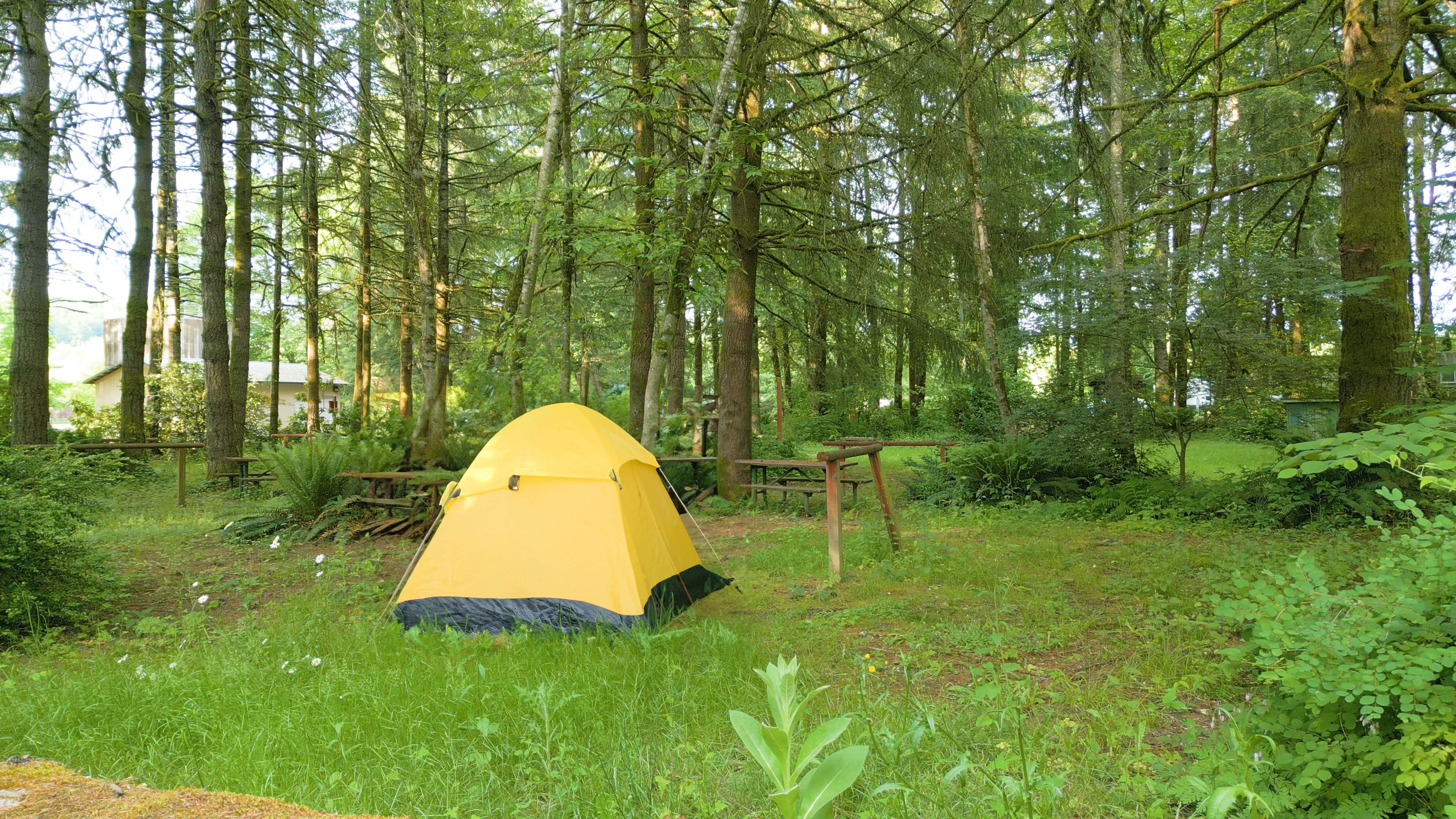 Lupe R.'s photo at Toutle River RV Resort near Rainier, OR