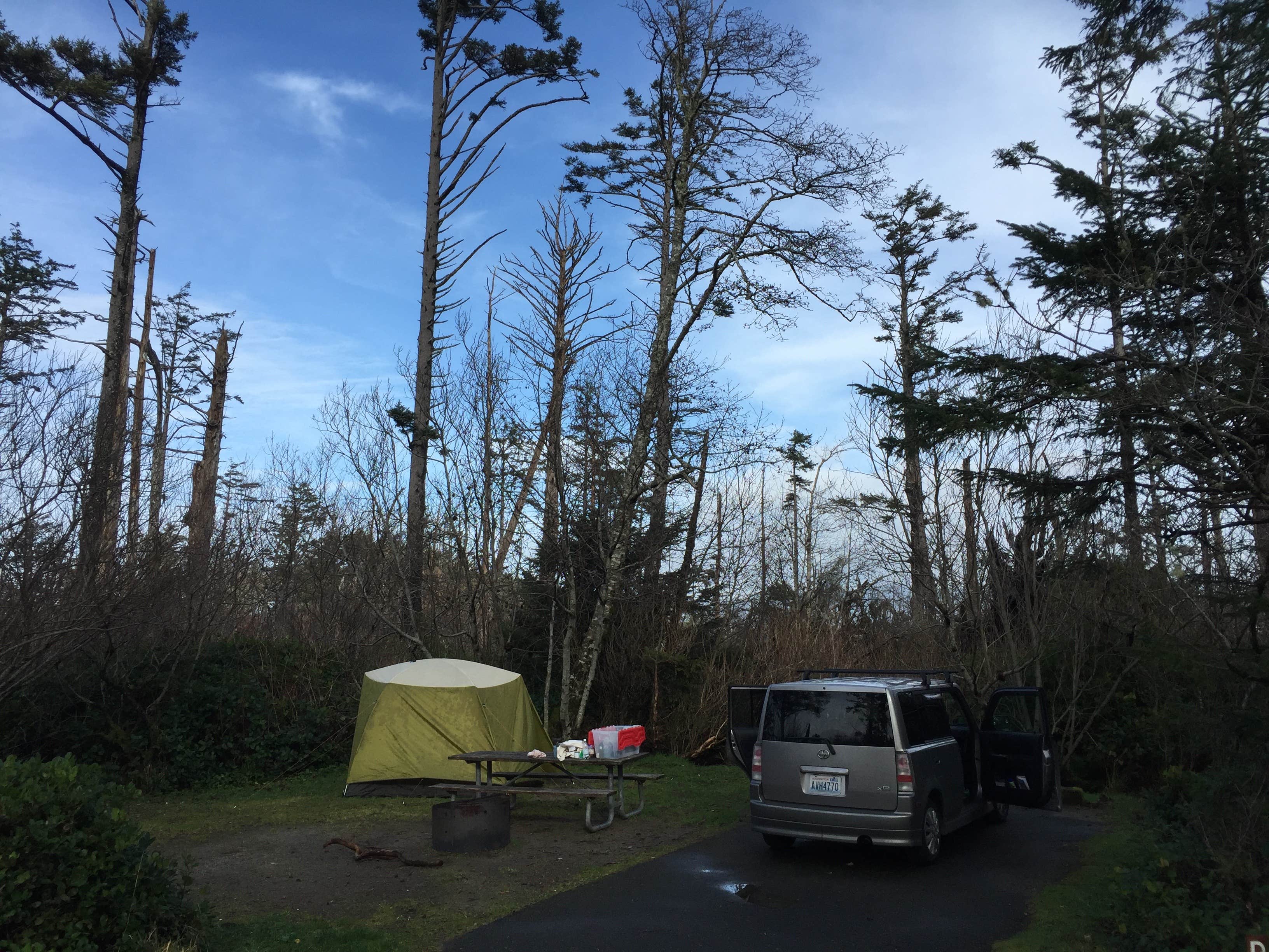 Camper submitted image from Cape Lookout State Park Campground - 3