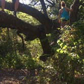 Review photo of McKinney Falls State Park Campground by Andrea P., July 8, 2019