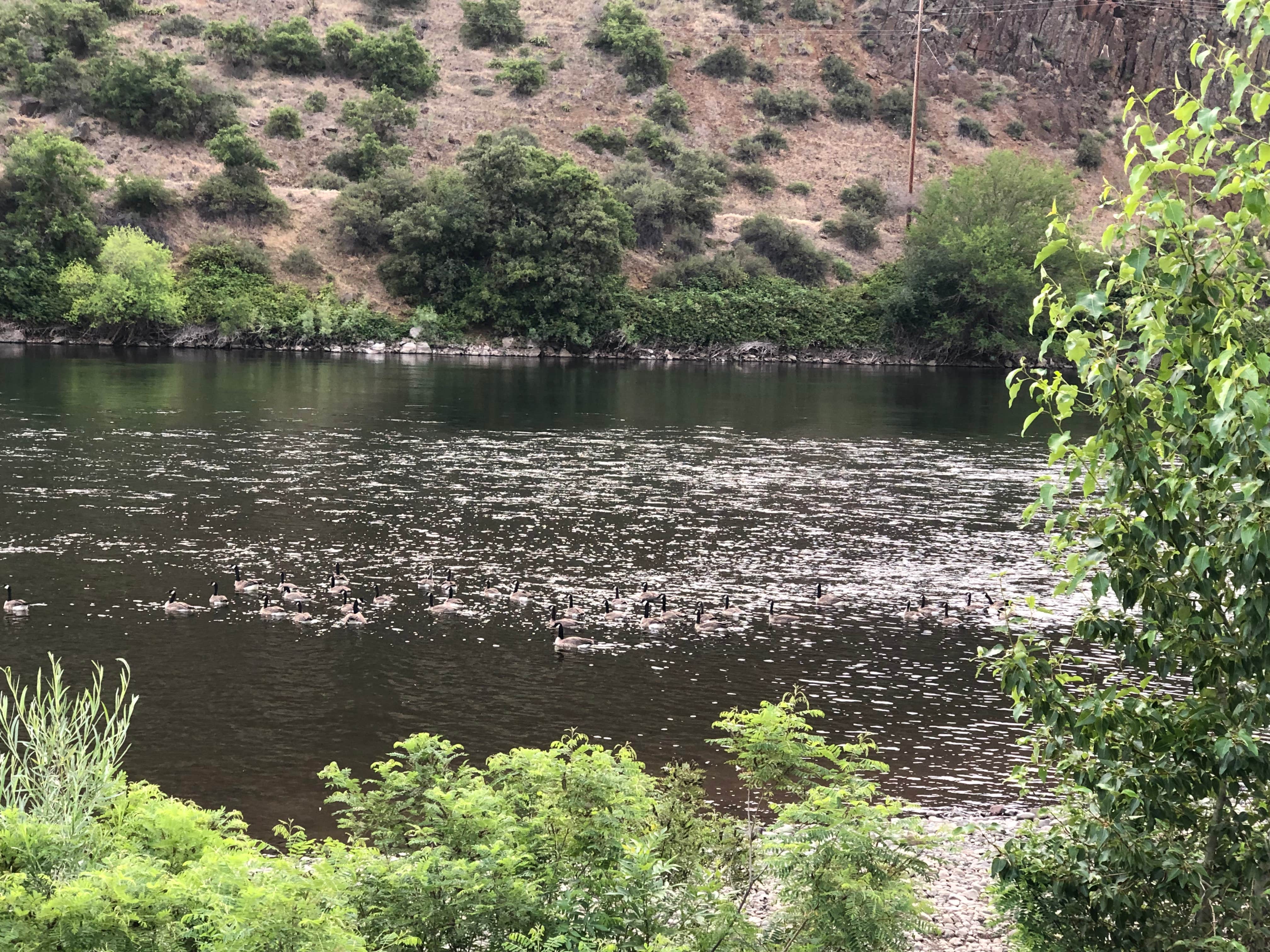 Camper-submitted photo at Copperfield Park near Halfway, OR